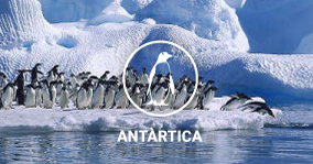 menu-antartica
